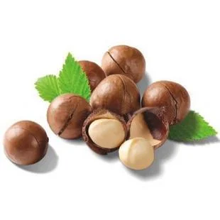 
Cosmetic grade hair care oil macadamia nuts oil 100% pure organic essential 