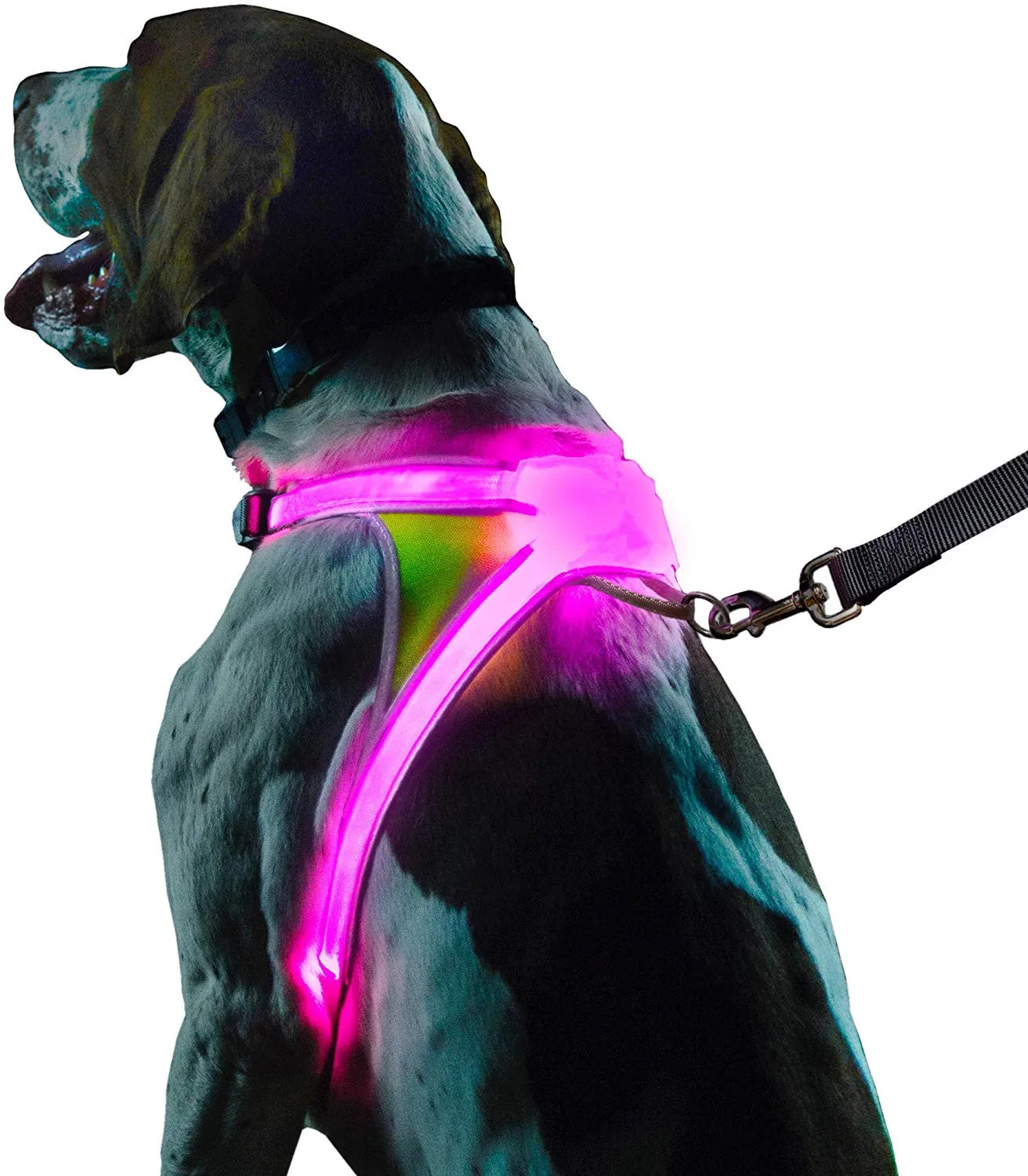 Illuminated waterproof training walking hunting harness vest reflective led dog pet harness vest