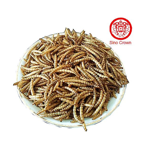 
Dried mealworms 