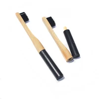 

100% Biodegradable Soil Compostable Castor Oil Bristles Replaceable Brush Head Bamboo Toothbrush CE/FSC/BSCI