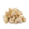 Dried Raw Cashew Nut/ Cashew Nuts W180 W240 W320 W450/ Dried WW320 Dried Cashew