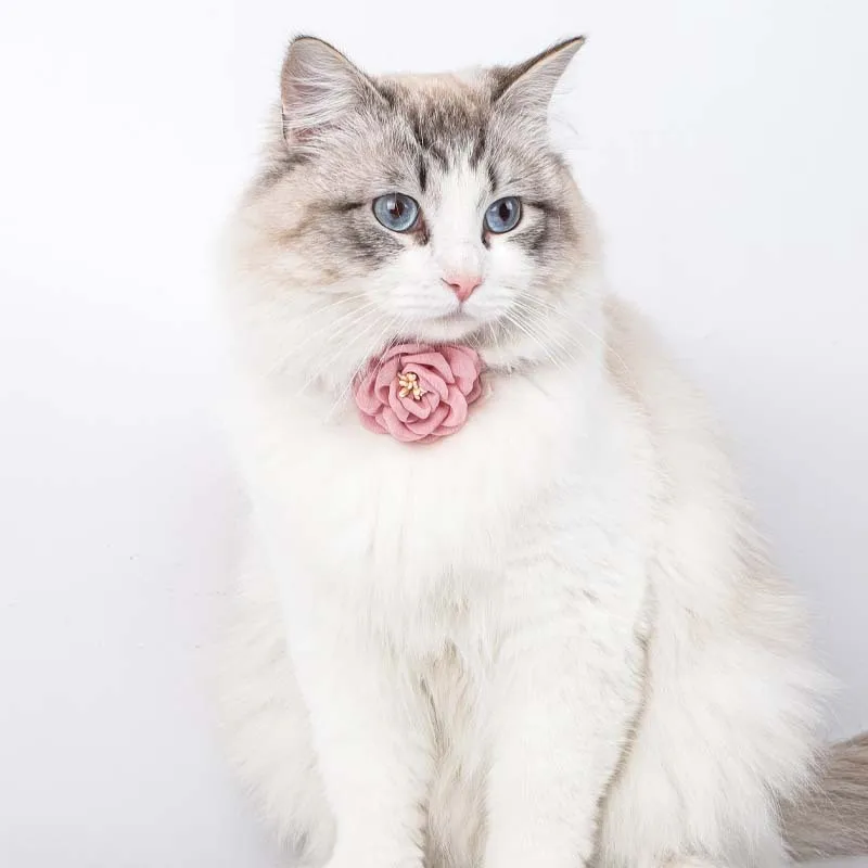 

Simulation Camellia Solid Color Small Animals Collar Double-color Flowers Hand-made Cute Wool Woven Cat Collar, Pink,blue,grey