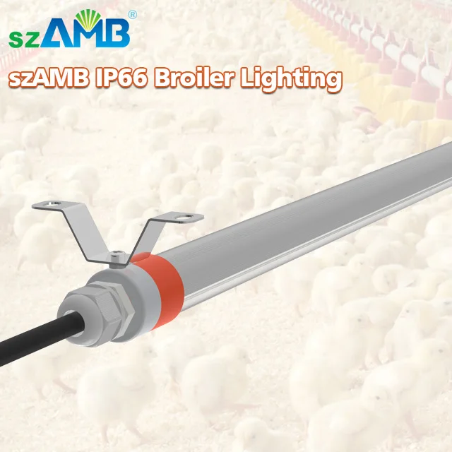 
2020 New Upgraded Rotating End Cap IP67 T8 Poultry Lighting 2020 New Upgraded Rotating End Cap IP67 T8 Poultry Lighting