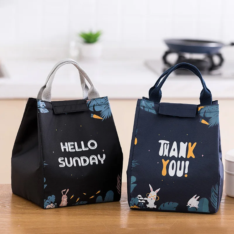 

Foldable Promotional Ladies Cooler Bag Wholesale Thermal Insulation Lunch Bag Customized Waterproof Cooler Lunch Bag for Food, Picture