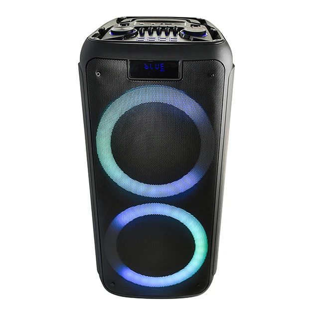 

Most Popular Dual 8 inch Factory Price FM Radio Mic Input Portable Prefessional Wireless BT Karaoke Speaker With LED Light