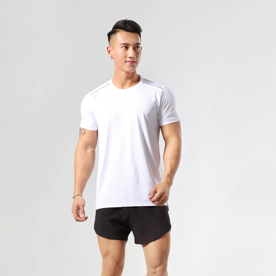 

Wholesale Custom Logo short sleeve gym wear fitness quick dry body building blank workout muscle men t shirts, Customized colors