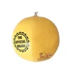 2019 wholesale factory price meet En71 CE top sale yellow custom oem branded beach balls for advertising