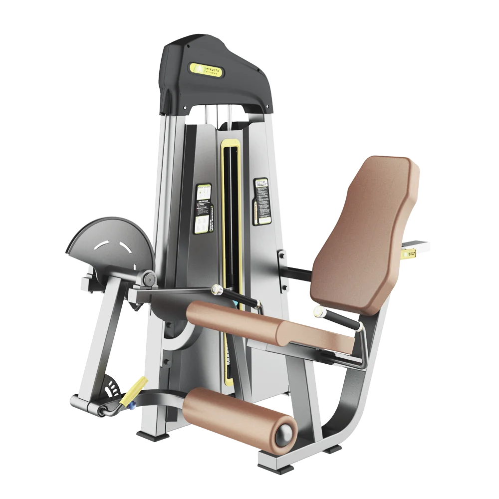 

Body Building Leg Extension Exercise