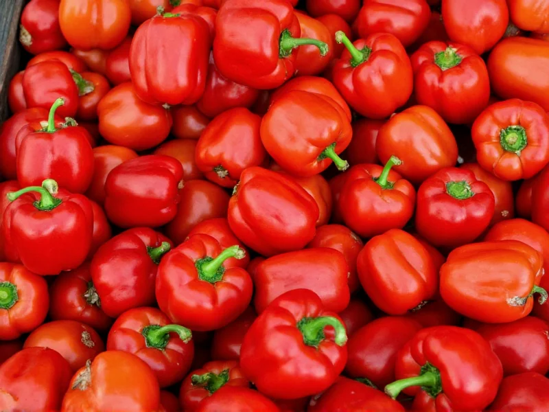 Paprika Source: Origins, Regions & Quality Guide