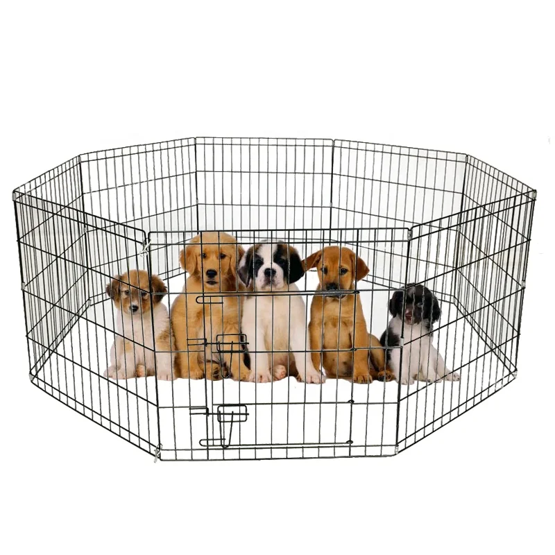 

Lorenzo OEM Recinto Per Cani 36inch Stainless Kandang Anjing Rabbit Hutch Kooi Large Pet Cat Cage Houses Steel Dog Fence, Black