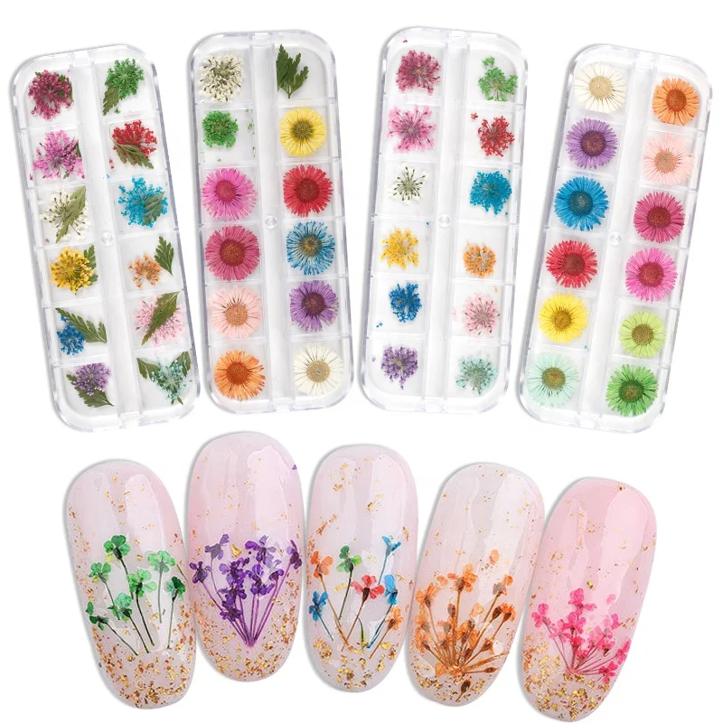 

Lidan 12 Grids Natural Floral Dried Flower Nail Art Stickers Dry Flowers Nails Leaves Dried Flowers For Nail Art, 5 colors