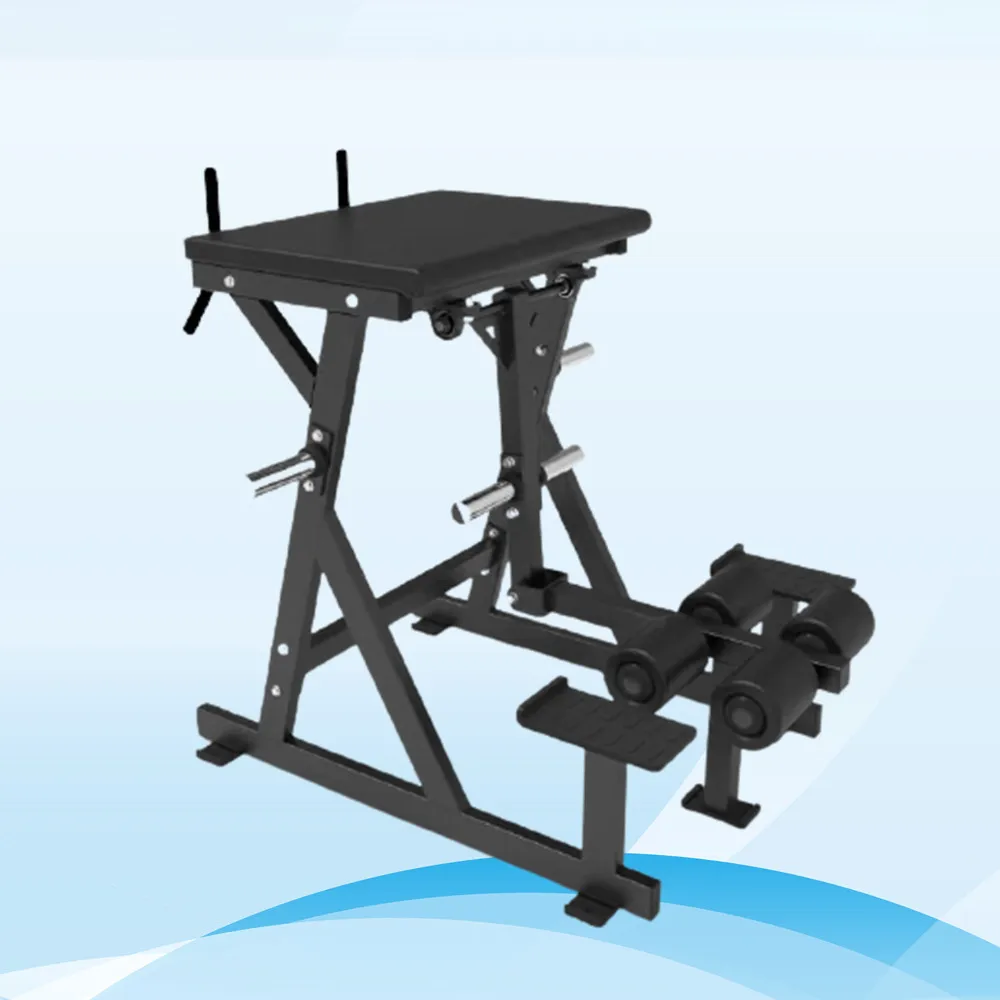 

Manufacturer Direct Sale Semi Commercial Gym Equipment Reverse Hyper Extension Sport Machine Multi Functional Fitness Equipment, Optional