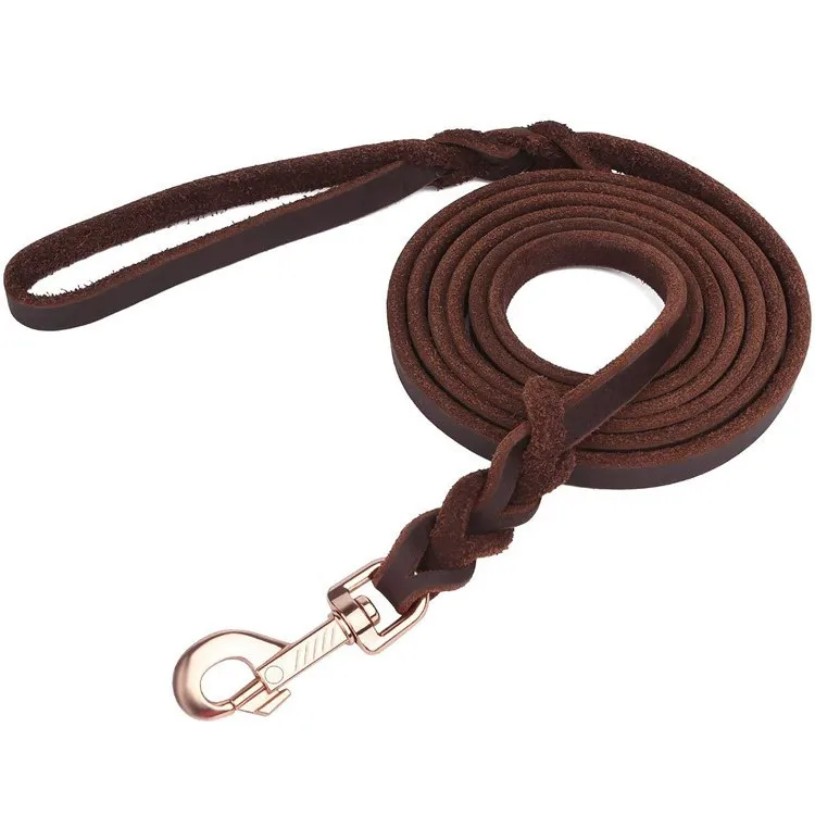 

Dog Training Leash Pet Leather Fashion Dog Leash And Collar, Customized color