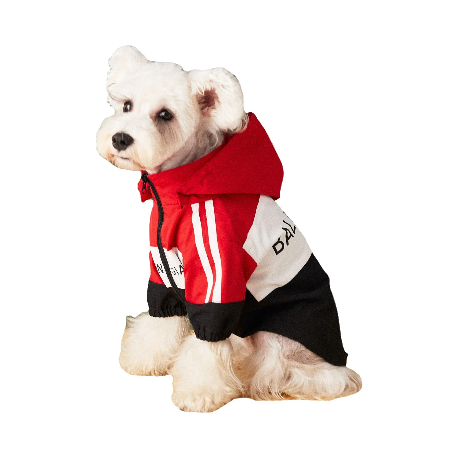 

Wholesale luxury fashion pet dog clothes windproof waterproof dog coat