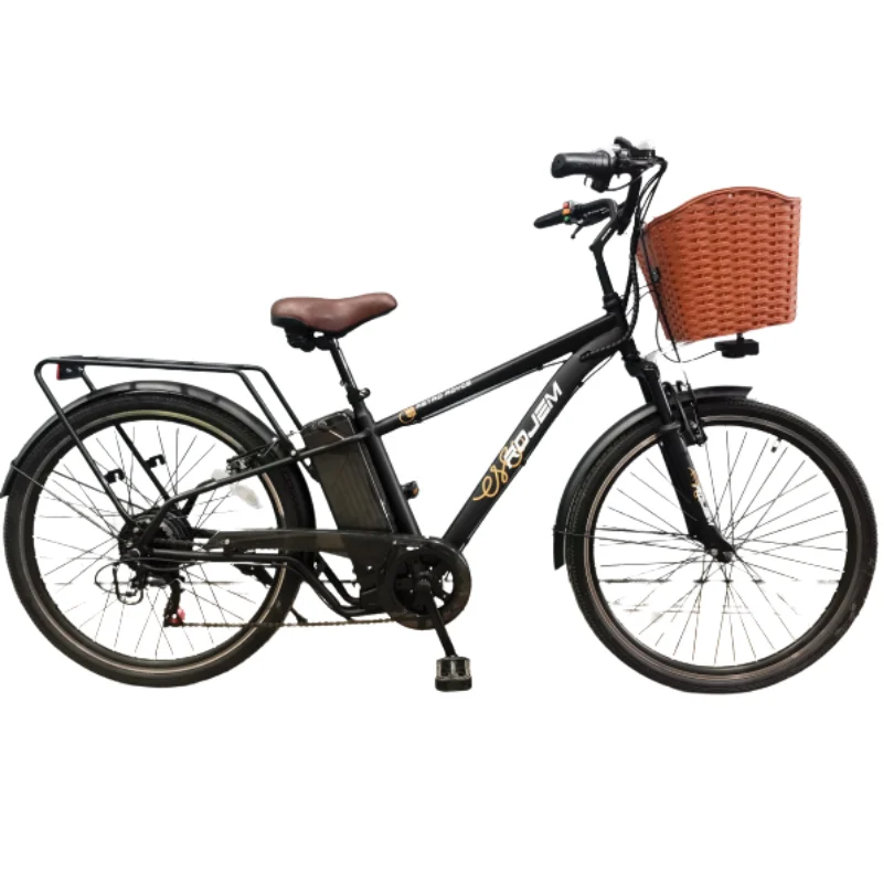 

China Tianjin 36v 10.5ah Electric Bike Long Range 7 Speed Electric Bikes for Men