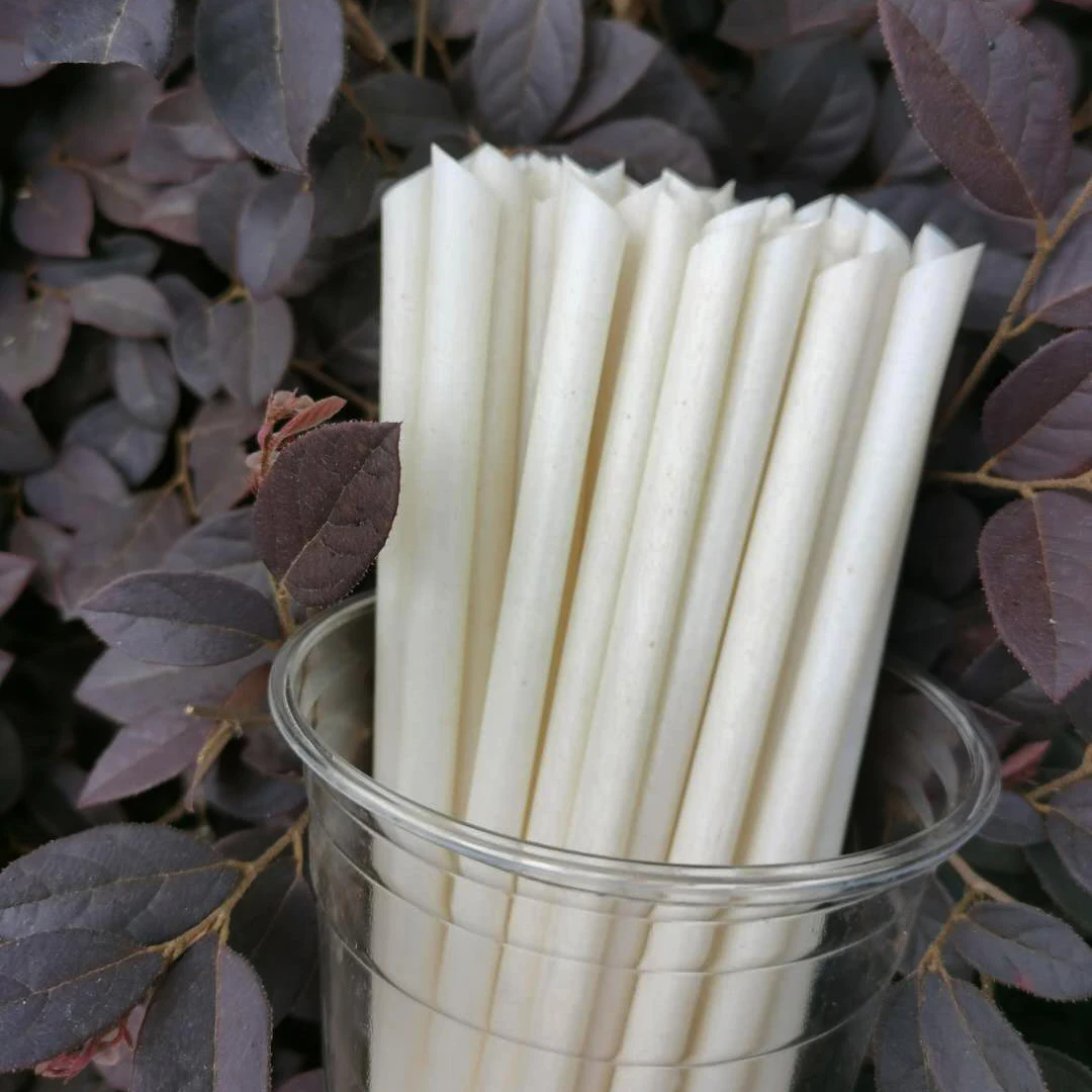

CPLA Ecofriendly straw En13432 Disposable sugercane CPLA straw, Natural color