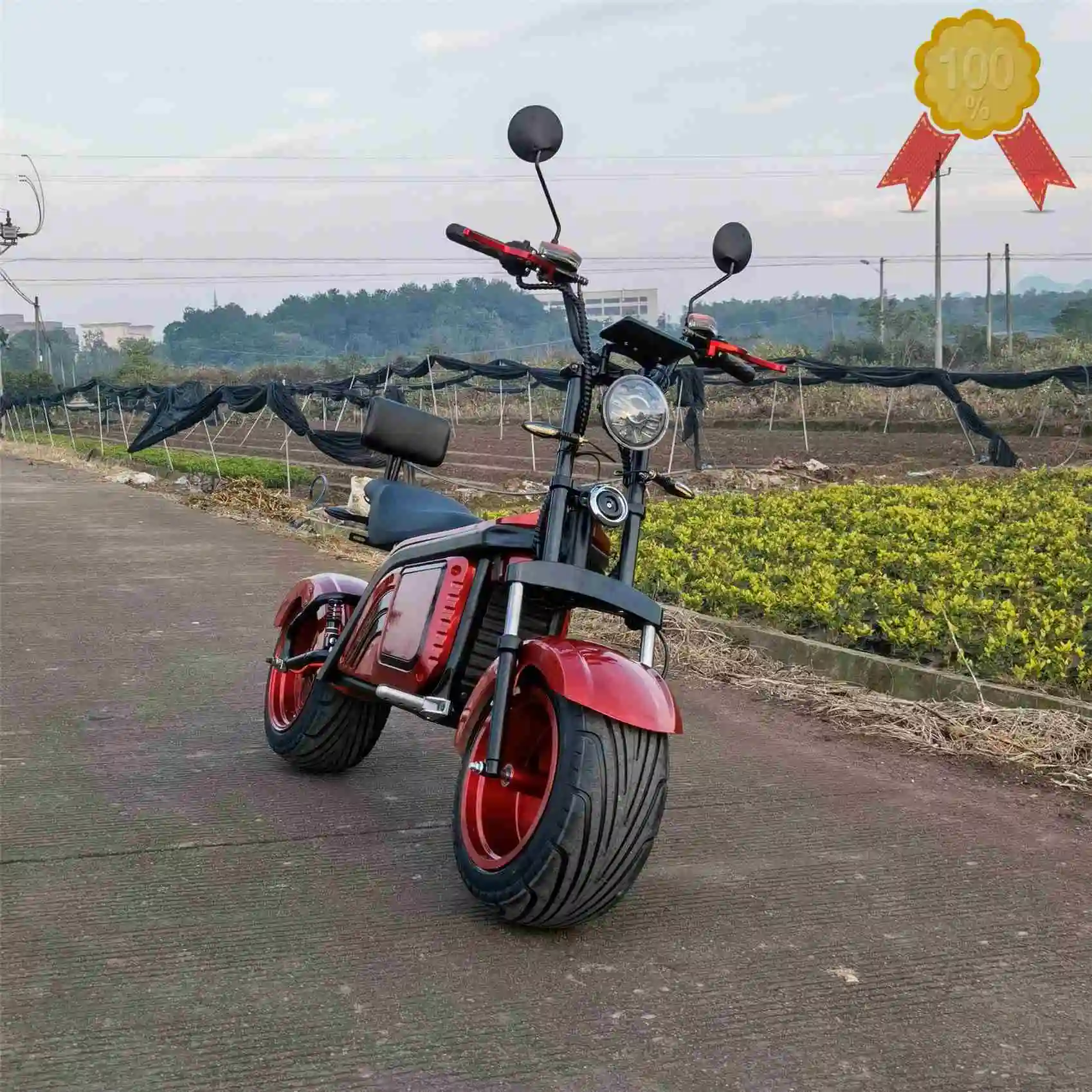 

New Fashion Electric Motorcycle Christmas Gift 4000W 72V 2 Wheel Bike Electric Scooter Citycoco Max Speed 80KM/H
