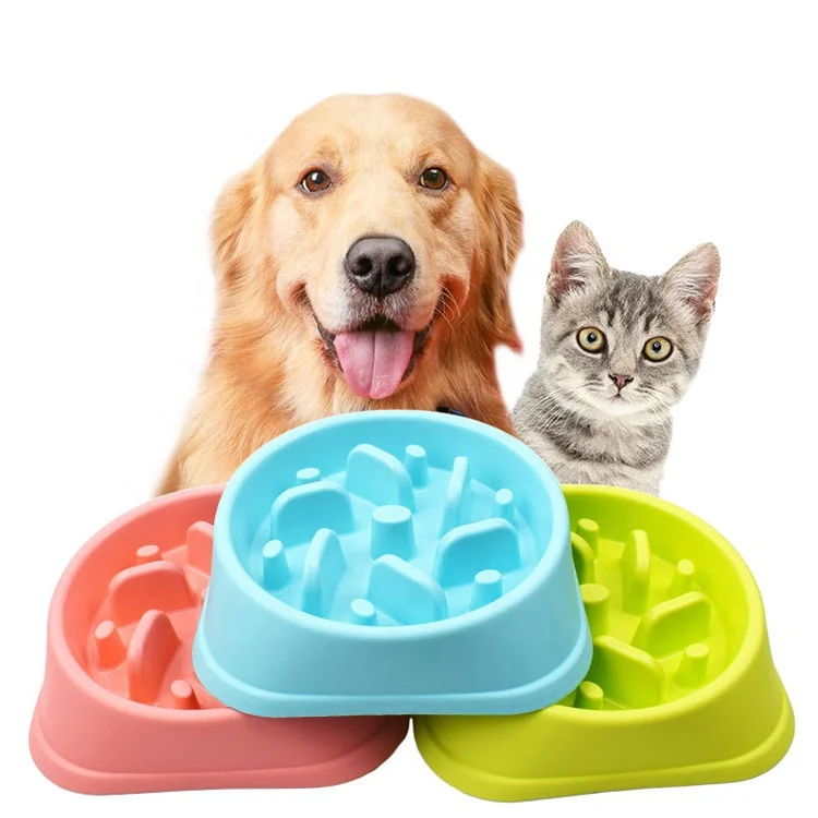 

pet food bowl slow eating feeder plastic pet bowls and feeders plastic pet bowl