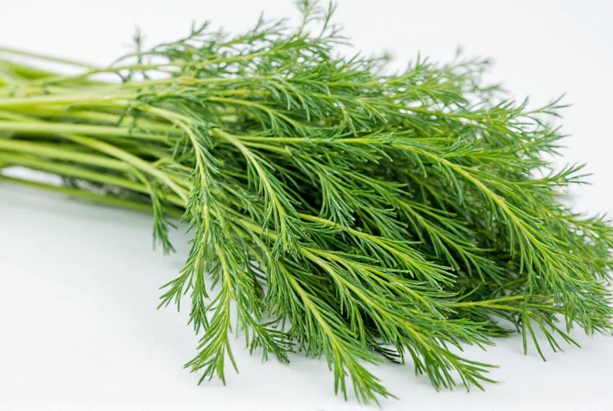 Middle Eastern Dill