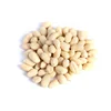 Halal Certificate China New Crop Blanched Peanuts Peeled Groundnuts In Wholesale