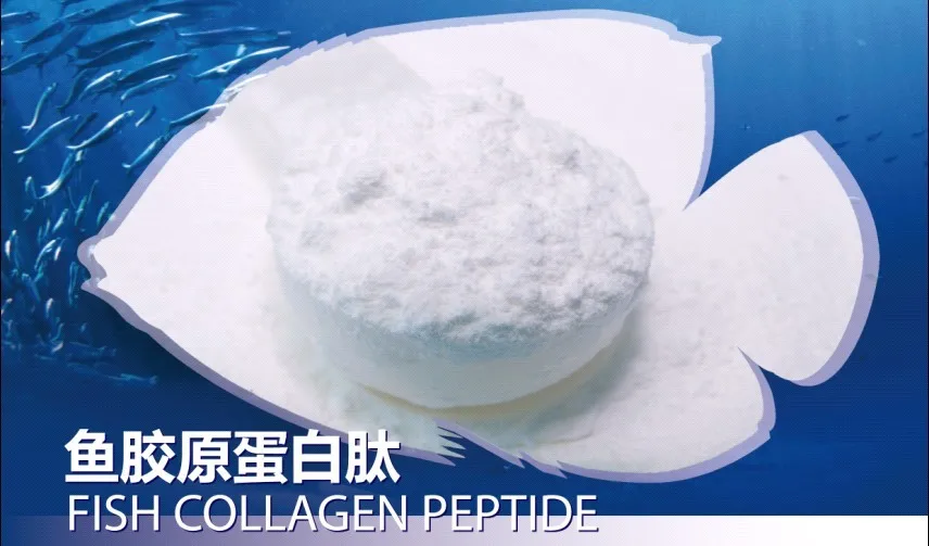 
collagen powder 