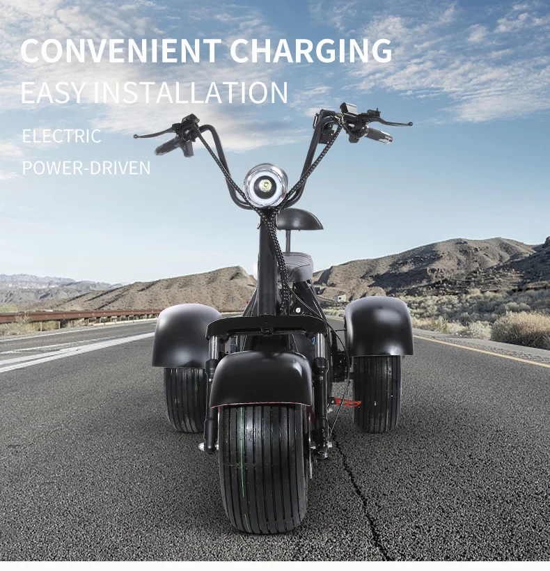 three wheels EEC electric scooter