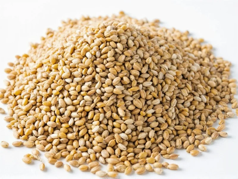 Best Caraway Seed Substitutes: Top 5 Alternatives