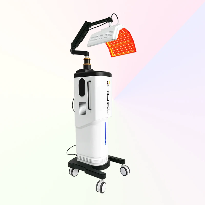 

Beauty Salon PDT LED Light/Professional Facial Light Therapy Skin Care PDT/LED Machine Skin Pigmentation Treatment Equipment