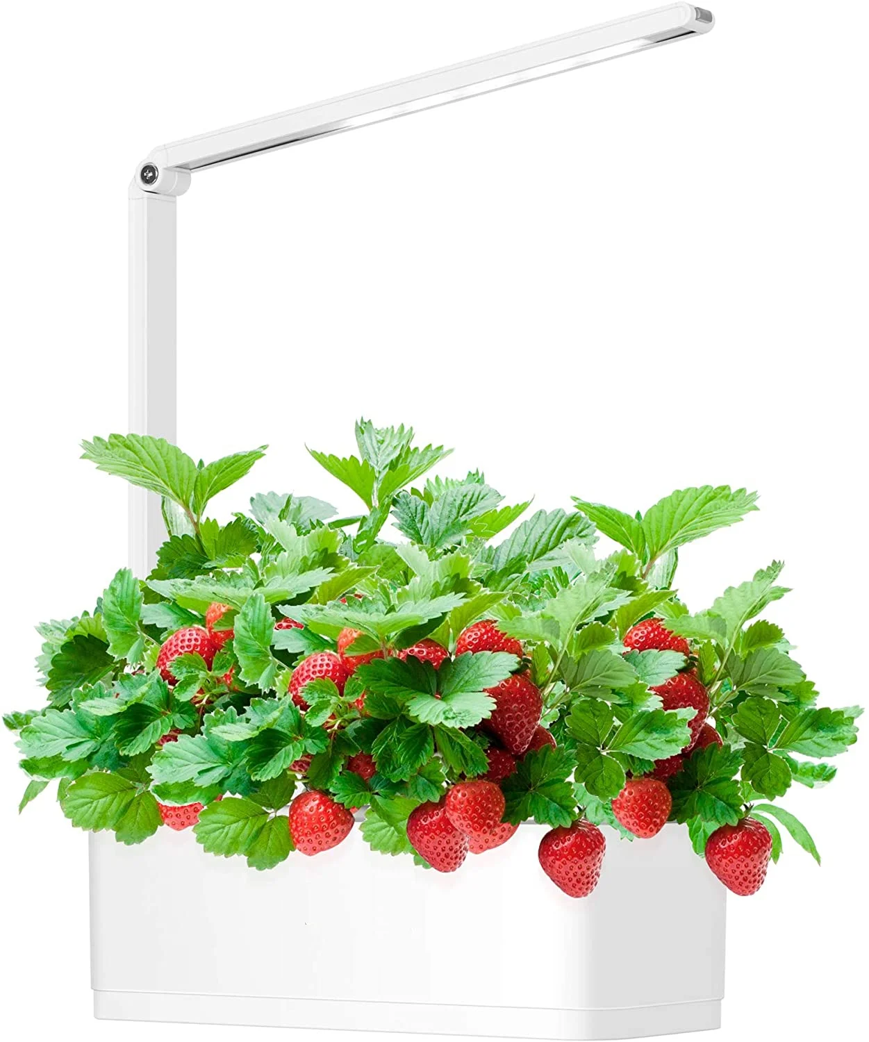 

Cheapest mini pots smart hydroponic Chinese plants pots big garden intelligent supplies Plastic garden hydroponic vertical, White