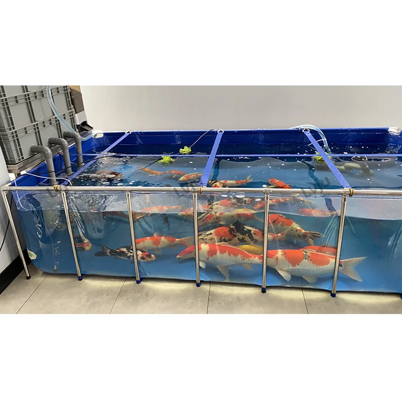 

Lvju Luxury Decoration Fish Tank Ornamental Ultra Clear Strong Large Aquarium Fish Tank For Salt Water Marine Betta/Koi Fish, Blue and one side clear/custom