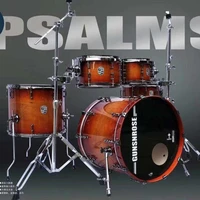 

psalms series 5 pieces drums 3 cymbal drum kits OEM custom color and logo high quality drum set jazz drum