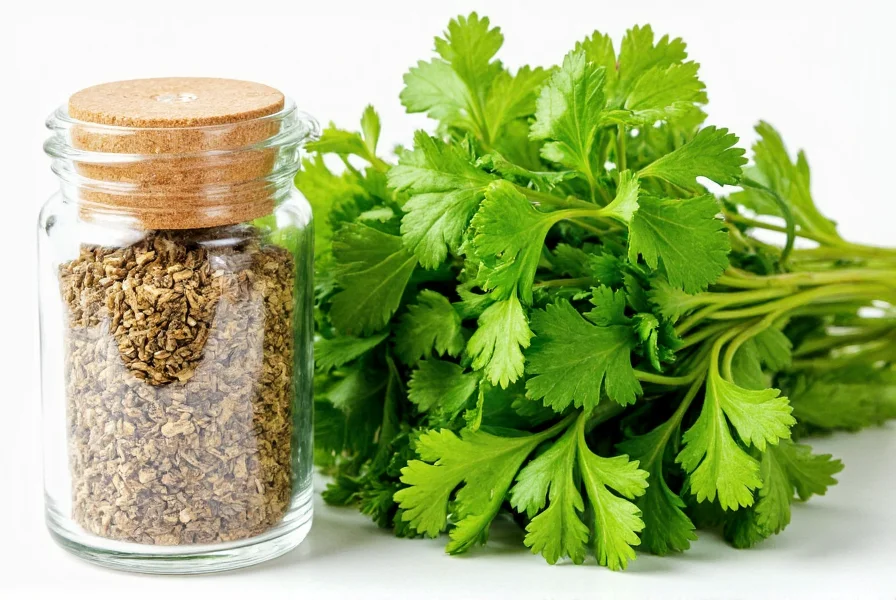 Dried coriander leaves in a spice jar next to fresh coriander bunch showing visual comparison for cooking substitution