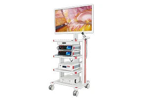 Rigid endoscopy camera system