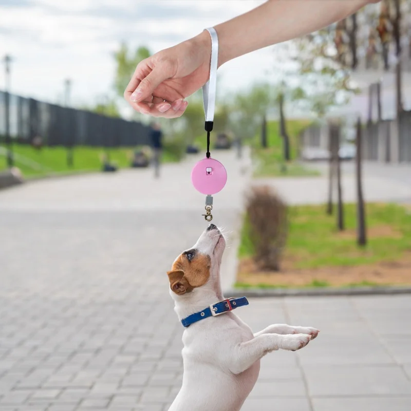 

hot pet product mini dog leash Lightweight portable dog rope Retractable Dog Leash