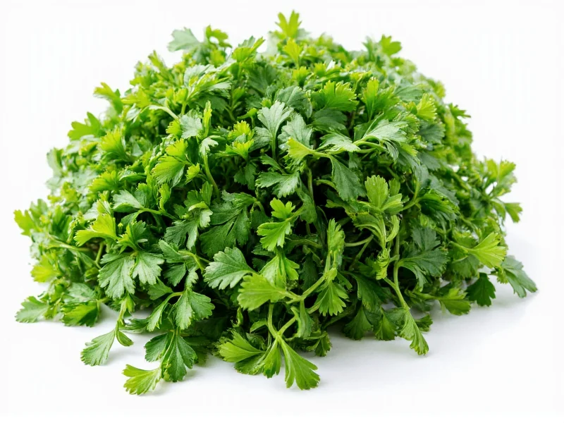 Fresh to Dried Parsley Conversion Ratio Explained