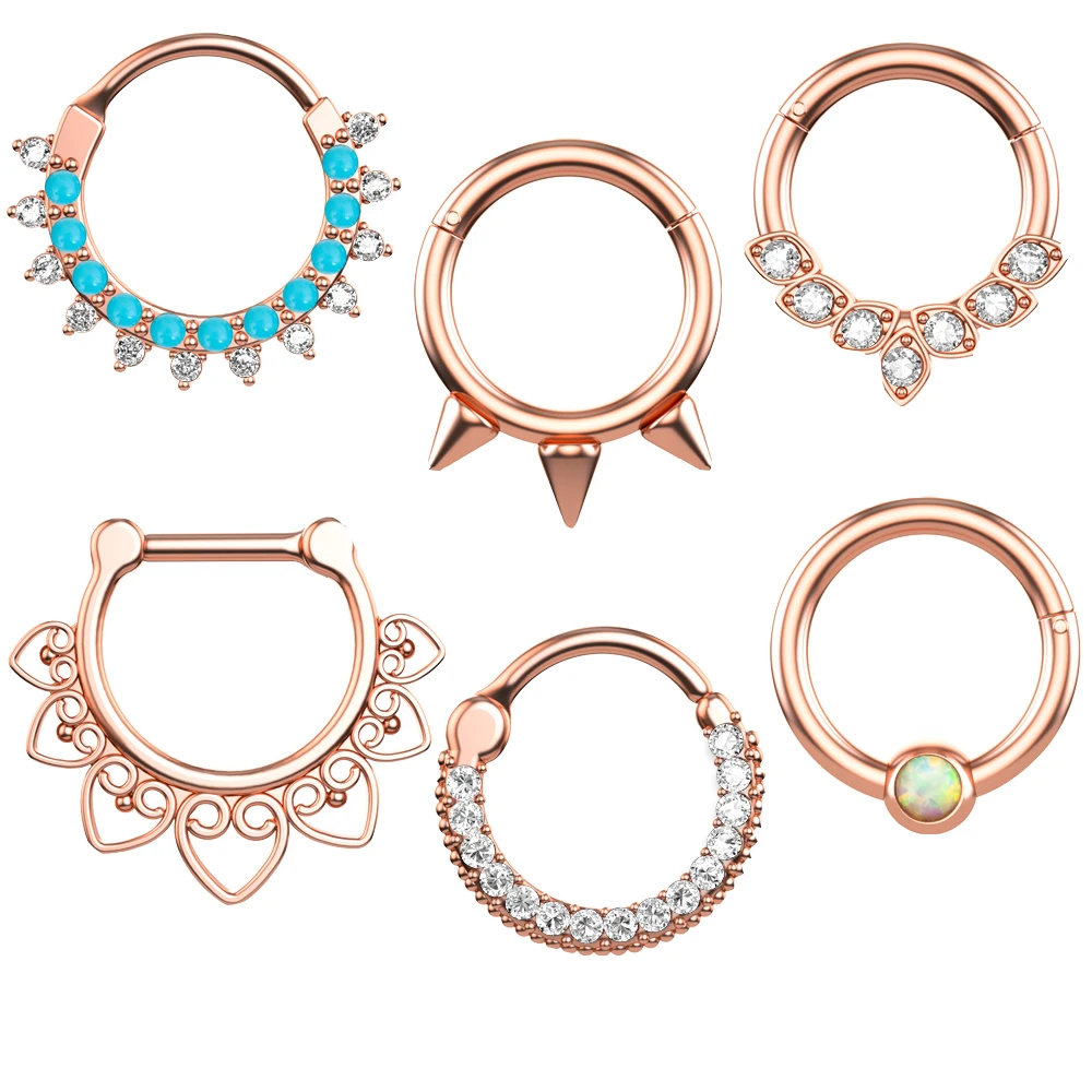 

Jachon 6Pcs/Set Split Ring Stainless Steel Clicker Segment Nose Hoop Ring Hinged Ear Nose Septum Piercing Women Men Body Jewelry