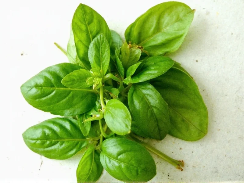 1/4 Cup Fresh Basil Equals How Much Dried: Exact Conversion
