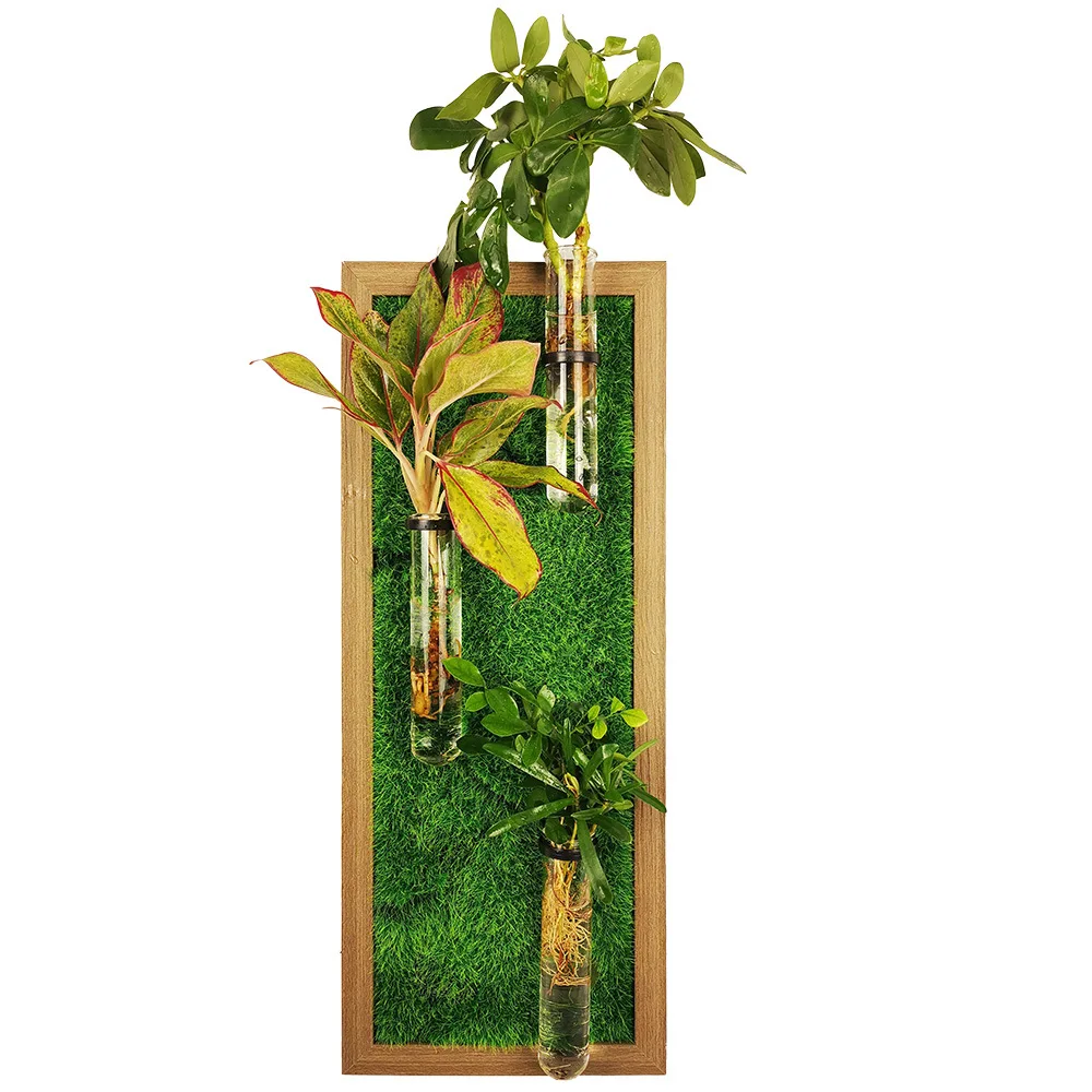 

Mini wall hanging planter wall-mounted hydroponic glass vase, Pictures shown
