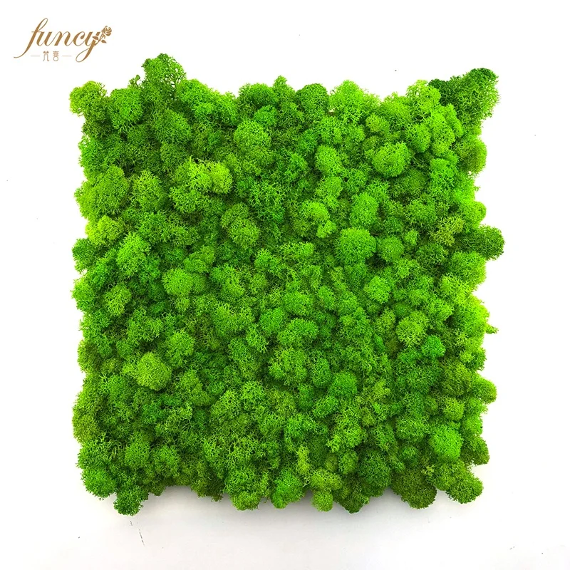 

Luxury Office Home Airport Green Plant Decorative Wall Art Moss Stabilized Preserved Moss Panel, Green wall module