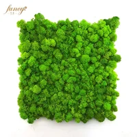 

Luxury Office Home Airport Green Plant Decorative Wall Art Moss Stabilized Preserved Moss Panel