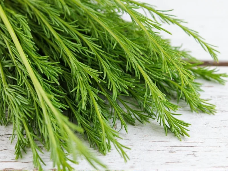 Best Way to Dry Dill: Preserve Flavor Perfectly