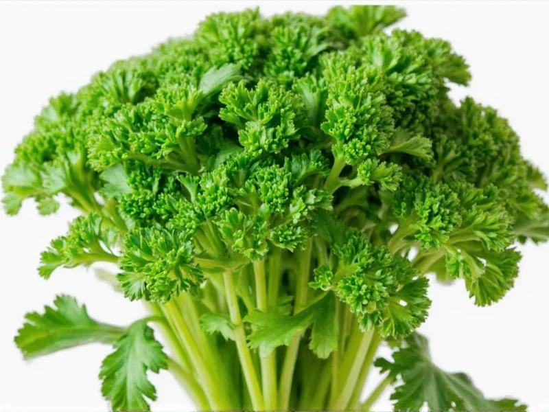Top 5 Parsley Alternatives for Cooking & Garnishing
