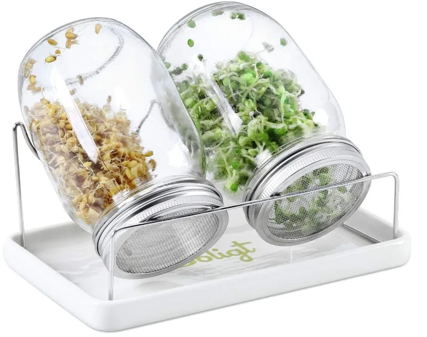 

Seed Sprouting Jar Kit 2 Sprouter Mason Jars with Screen Lids Stands and Trays, Clear