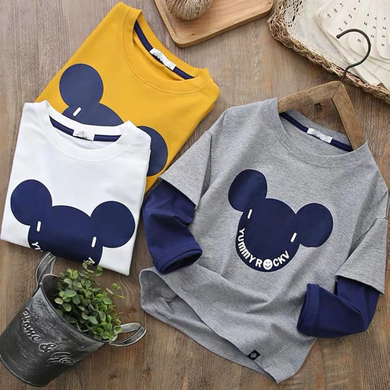 

Boy's Cartoon Long Sleeve Cotton Spring Vacation Two Spring and Autumn New Children's T-Shirt Top Bottom Shirt