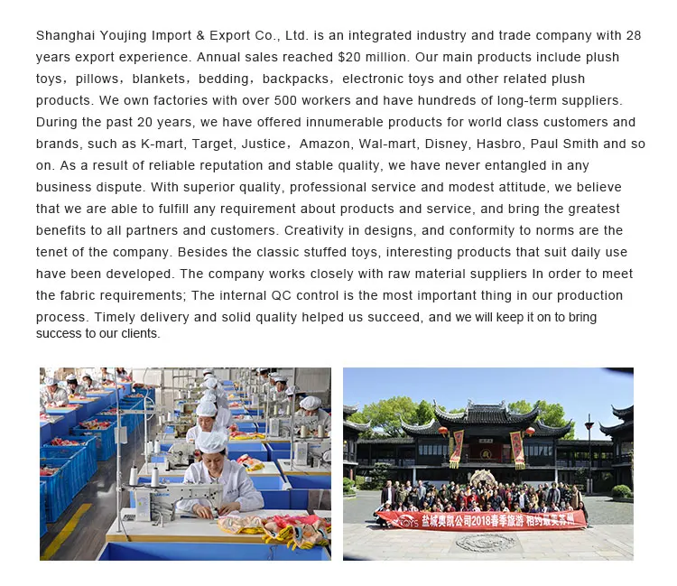 Custom home decor digital printed animal owl throw pillow cushions