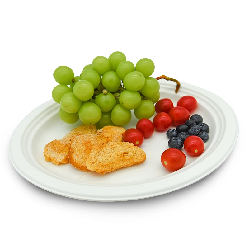 

Compostable environmental protection pulp tray sanitary waterproof disposable pulp tray