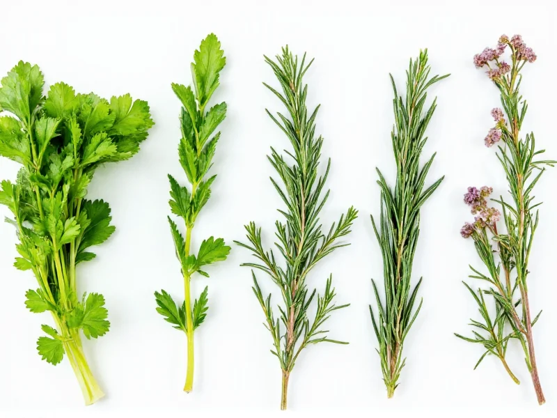 parsley sage rosemary and thyme