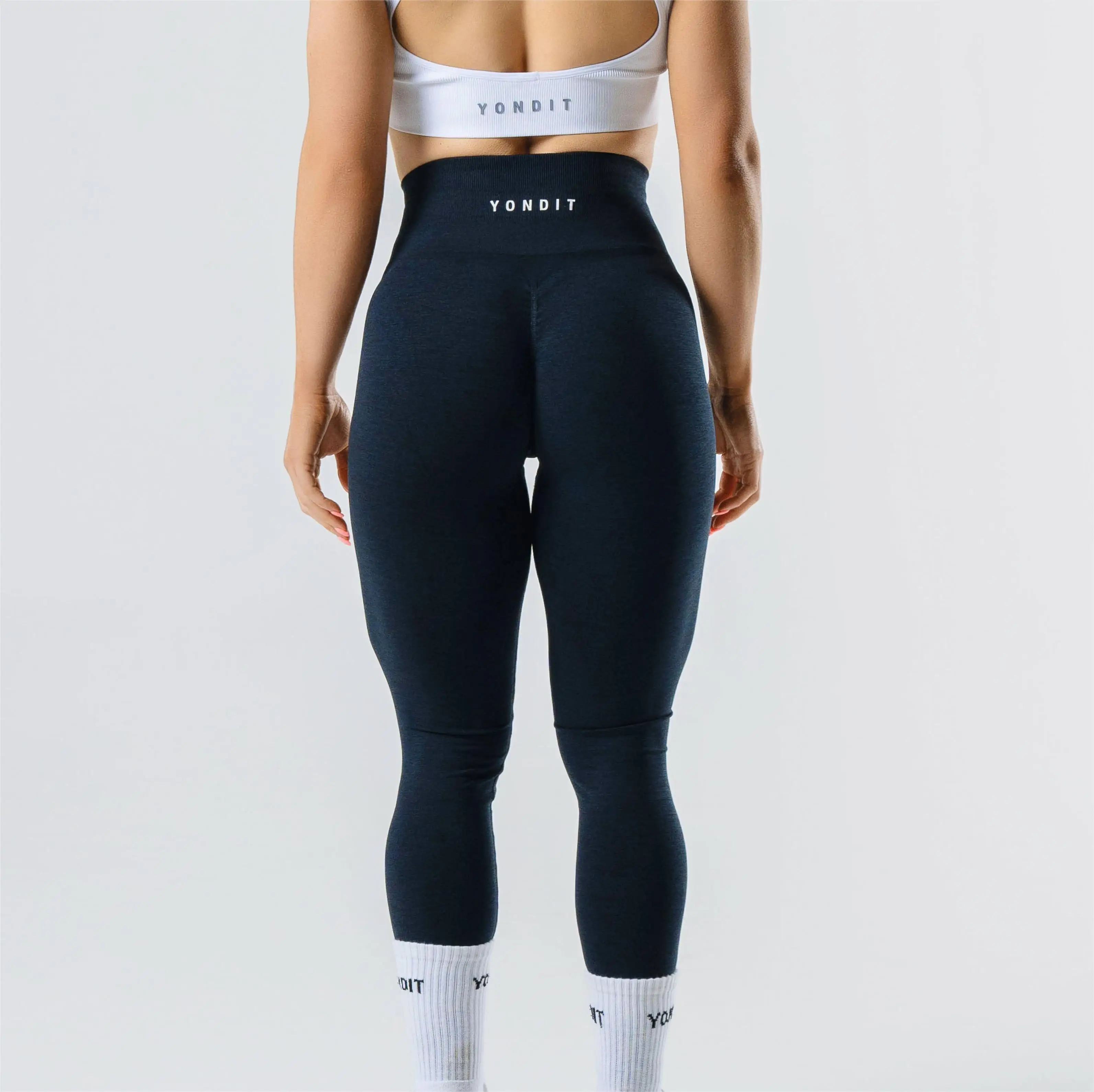 Custom logo High waist Seamless ALPHALETE Supplier GYM Solid Amplify Leggings