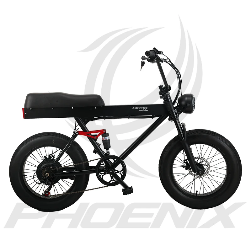 

Phoenix 1000W 48v BAFANG Motor 9.6Ah Electric Mountain Bicycle With Disc Brake Snow Mountain Bike Fat E Bike