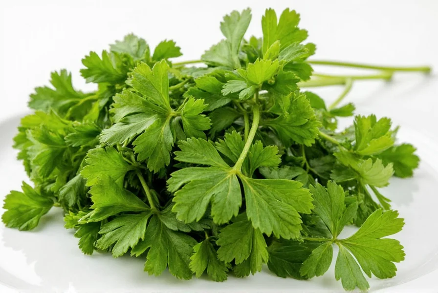 Herb dehydrator machine